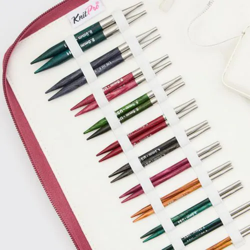 Dreamz Special Interchangeable Needle Sets| KnitPro