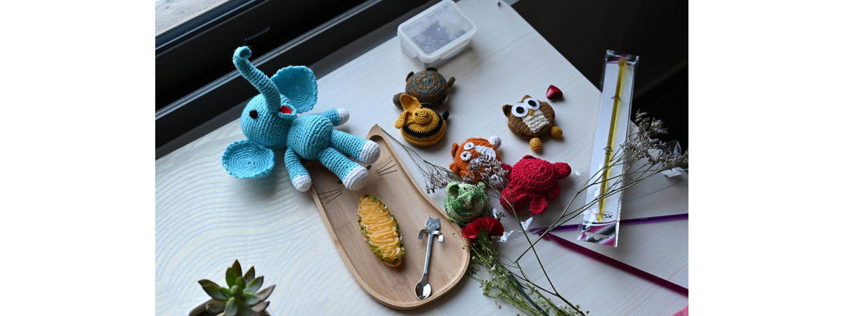 Trendz Tunisain Crochet hook with amigurumi