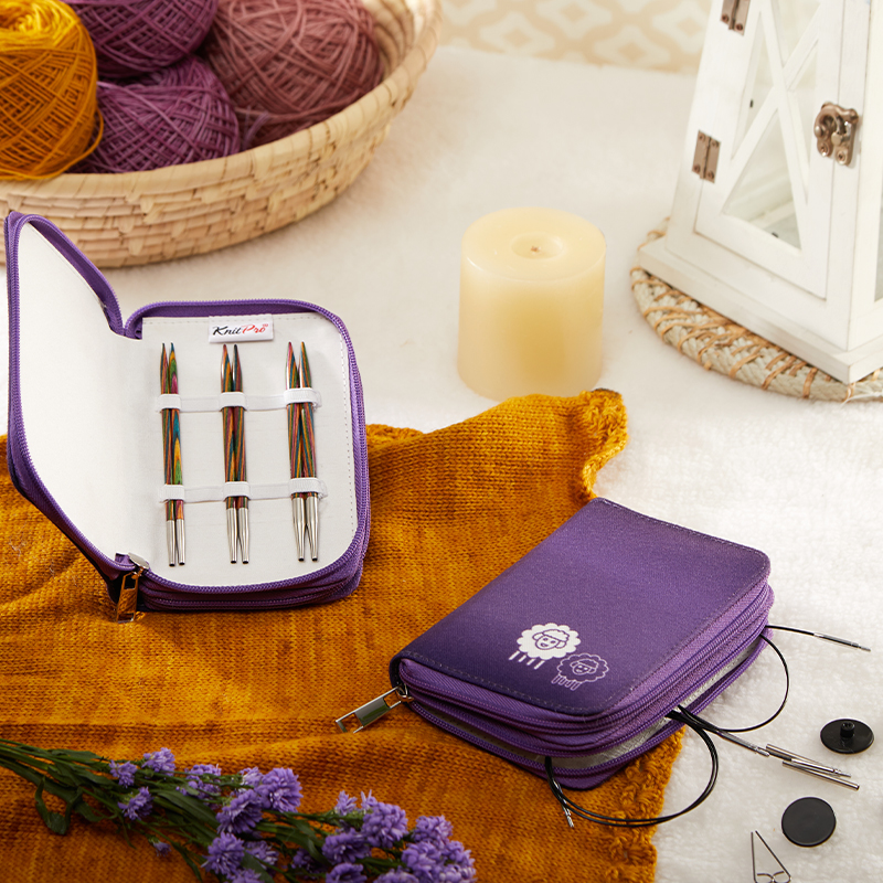 Interchangeable Circular Needle Set - Starter